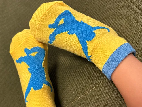 Socks On Feet