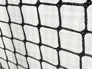 Size Display